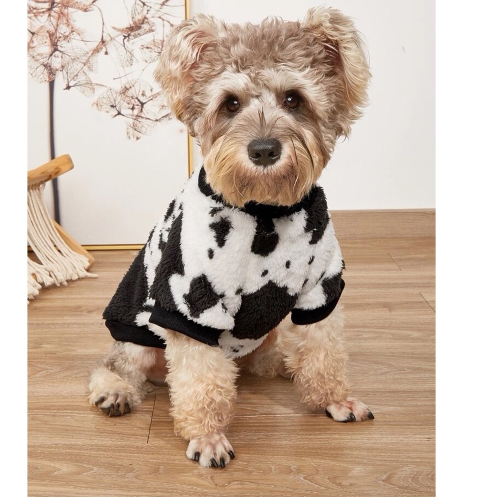 Graphic Print Pet Sweatshirt 🐕